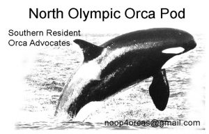 North Olympic Orca Pod